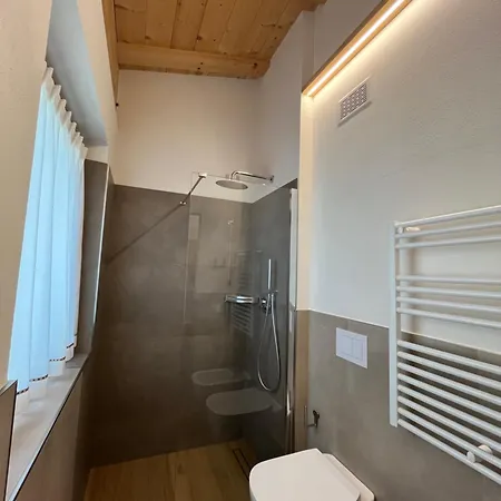 Apartment Shany *